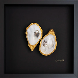 Pearls Modern Zwart 27x27cm - Ingelijste oesters- plexiglas schilderij - kunst